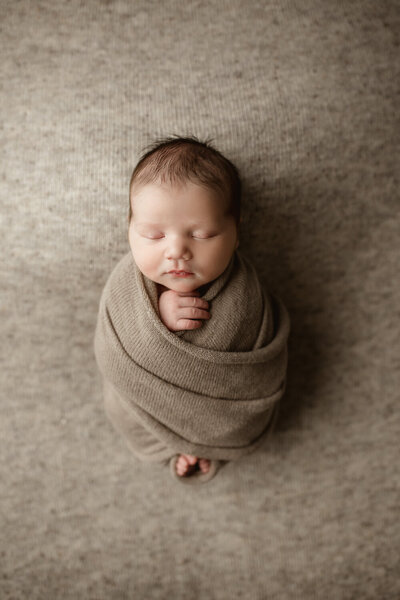 Elm Grove, WI Family, Maternity and Newborn Photographer