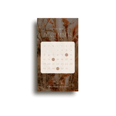 Elegant photography Instagram story Boho photography Instagram story template