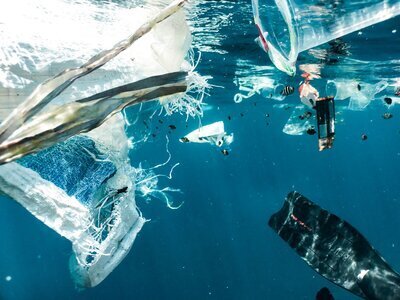 des déchets plastique dans l'océan