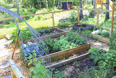 Right side of garden2025