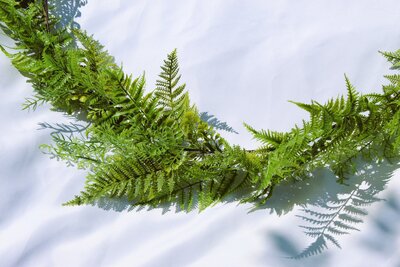 green wreath for wedding rental