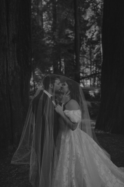 Bride and groom in the redwoods kissing