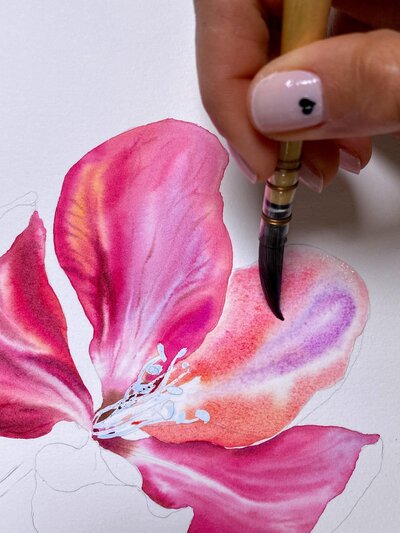 watercolor-flower-petal (1)