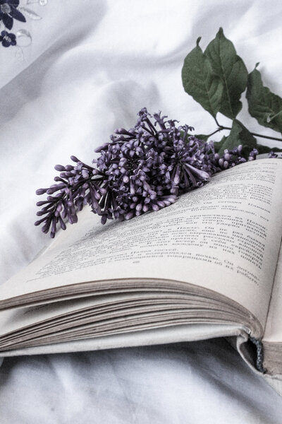 Purple florals sit atop an open book with white binding.