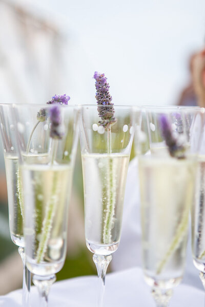 Nantucket wedding photography Julie Lippert
