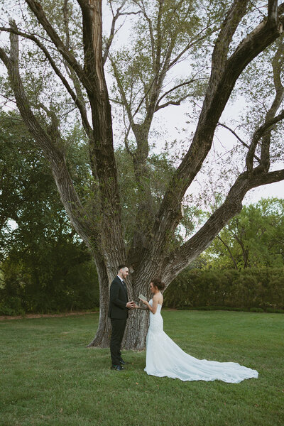 A couple reading their private vows to each other beneath a large tree in Wichita, KS, creating a heartfelt and intimate moment filled with love and commitment, surrounded by nature’s beauty.