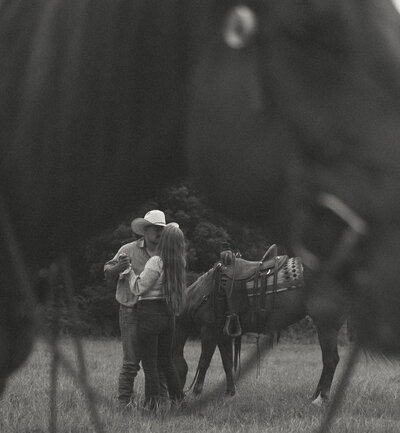 Wild Rose Imagery