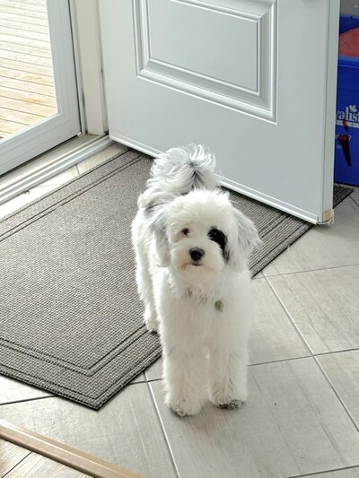 3354f693-ebea-467c-bd0c-d72bc619de79