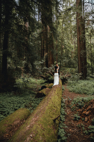 Adventure elopement in the redwood forests of California.