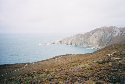 Engagement Portraits by San Diego Ca Wedding Laina Tortorici Photo