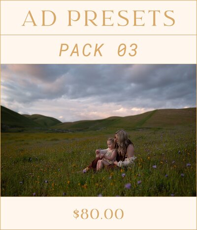 Aspen Dawn Presets Pack 04 before