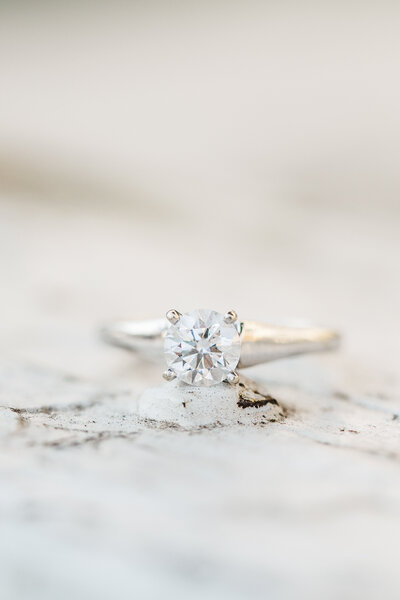 jenna_tylor_engaged-8029