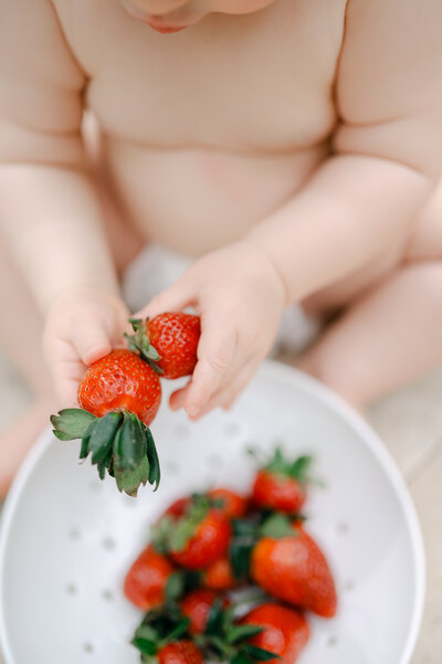 Baby girl playing with flowers by Miami Family Photographer
