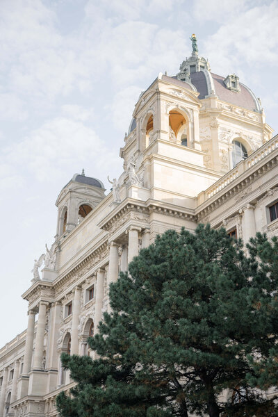 Engagement in Fine Art Museum in Vienna