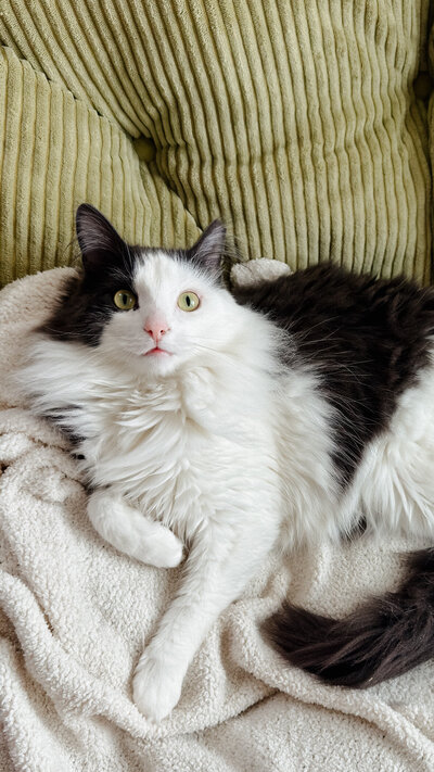 237CA583-3A38-44AB-9C10-D0EBDD00A1D8