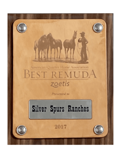 Zoetis Best Remuda award