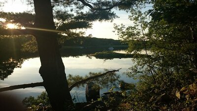 places to eat in shelburne accommodations places to stay