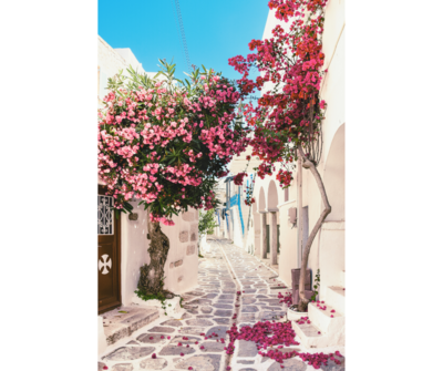 Untitled design copy 13
