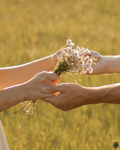 couple holding hands during engagement session