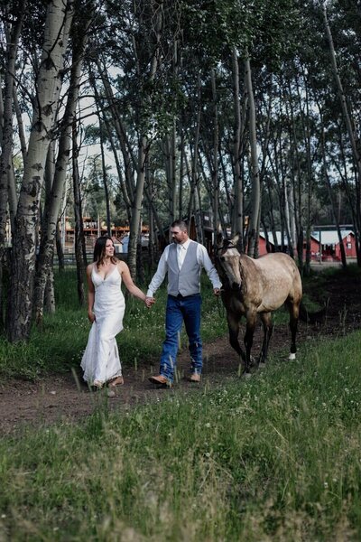 Alberta all-inclusive & small wedding photographer / allie knulls photography