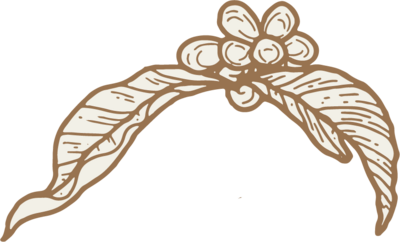 hand illustrated leaves