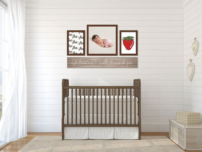 Newborn-Nursery-Design-photo