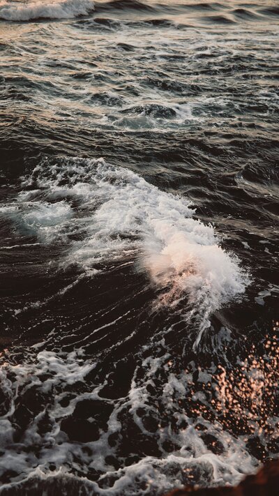 archee-lal-6geVJeZJMg8-unsplash