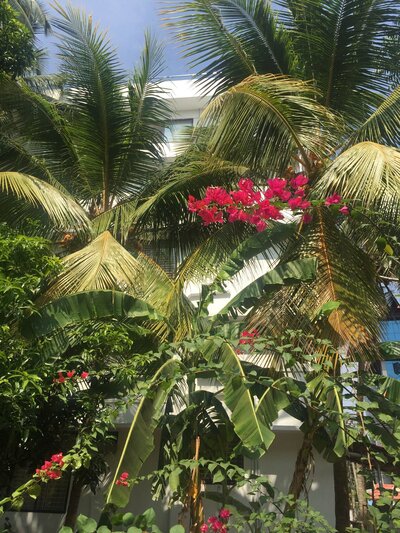 A bride and groom standing on steps looking at each other. The bride is wearing a short white dress with a brown fur coat and white heels/sunglasses, and the groom is wearing a black tuxedo and brown shoes.