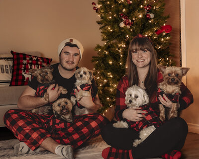 2024 family christmas photo with 5 dogs and 2 people in front of a christmas tree