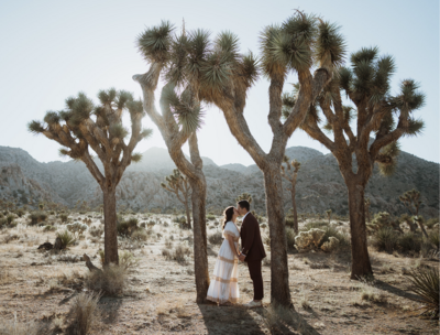 couple standing between trees with the mountains behind them kissing. the sun is setting behind them and they are in their california elopement attire.