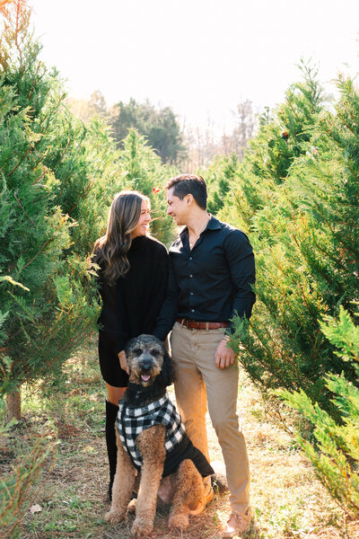 ChristmasTreeFarmMinis_RachaelReidPhotography_