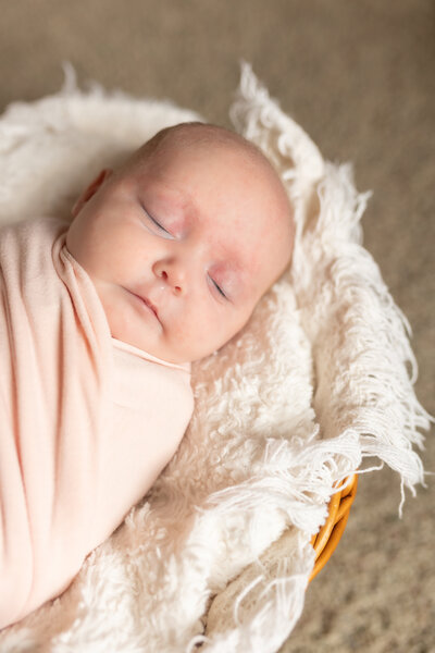 Oakland County newborn photography by Savvy Shoots Photography