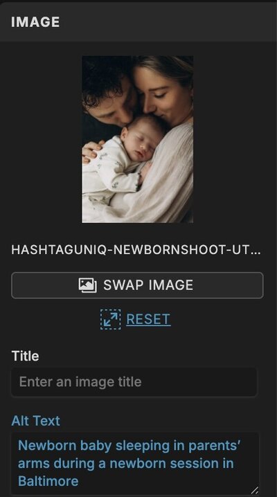 Adding alt text to images in Showit for SEO