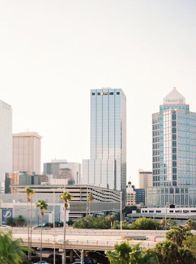 downtown tampa skyline from tampa wedding photographer
