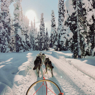 sixtyeightnorth imagery-55