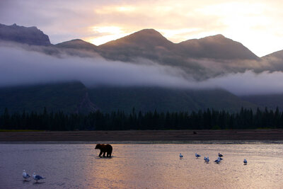 Photo: State of Alaska/Chris McLennan