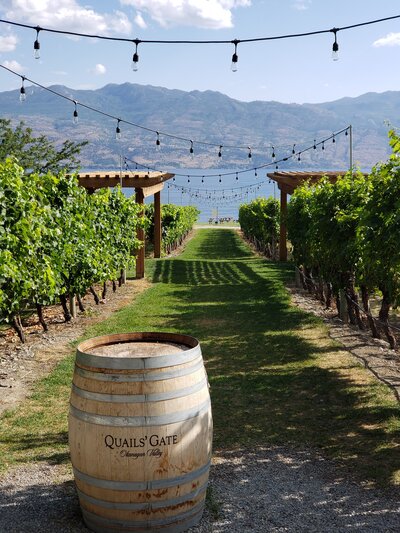 Quails-Gate-Winery-grounds-overlooking-lake-in-Kelowna-BC