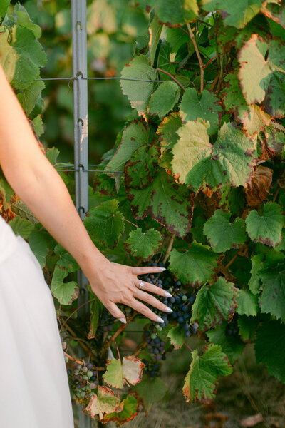 Radiant bride captured by luxury wedding photographer, French Riviera