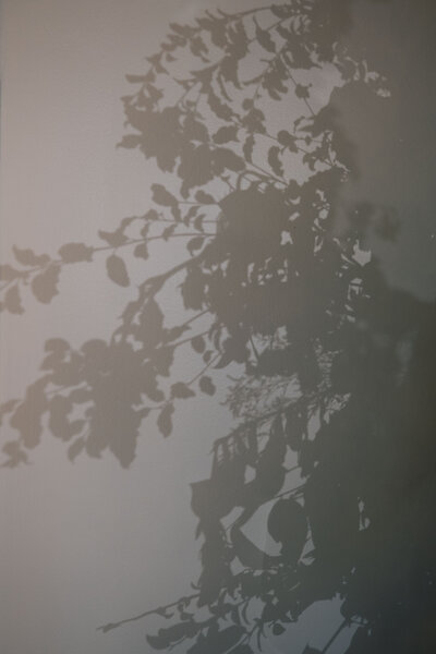 untitled-1788