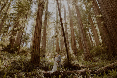 Bride and groom stand in the redwoods for their Oregon elopement