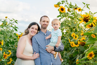 parents and baby sunflower patch