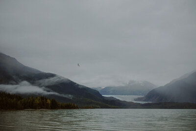 Eagle flies above Alaskan glacial lake