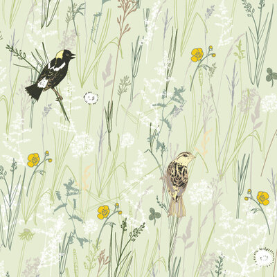 Pattern Design | Surface Pattern Collections for Licensing by Rebekah Lowell