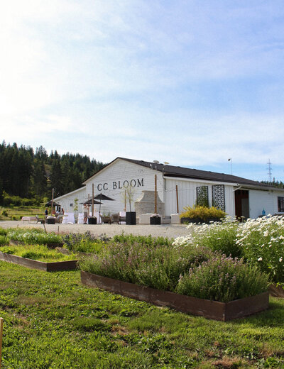 Business cards design