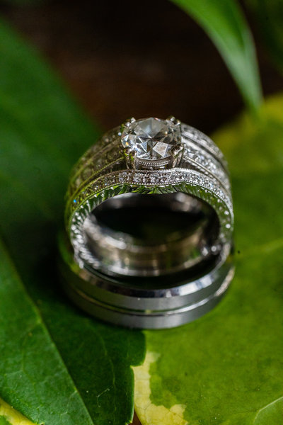 Bride and Grooms Ring on a green leaf