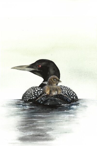 View orginal watercolor paintings by Adirondack fine artist Caitlin Friebel