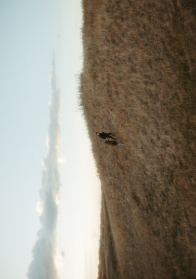 Couple running up a hill during their couples session at Pike Lake in Saskatchewan.