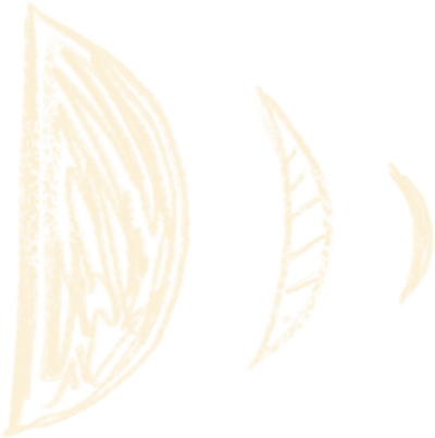 phases of the moon by esty raskin