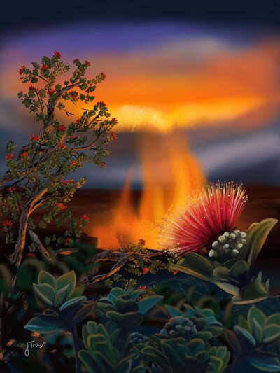 A red flower grows from an Ohia Lehua tree in front of a firey lava flow