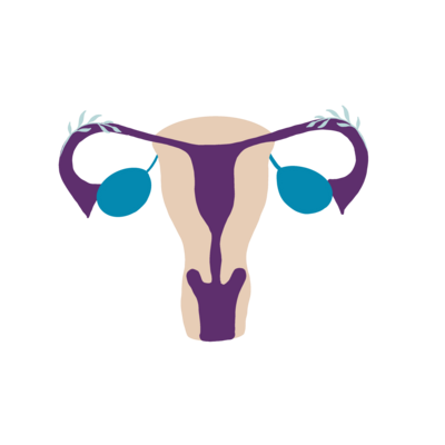 Dr. Nicole Tod is a Fort Worth Gynecologist and Obstetrician passionate about women's healthcare and helping women through all seasons, from puberty to menopause. 